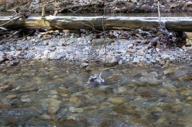 Dağlarda karlı bir nehir.