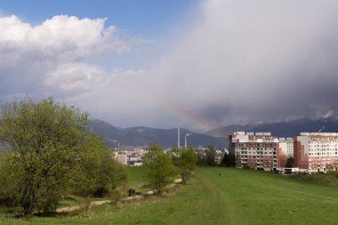 Çimenler çayırda. Gündüz çekimi