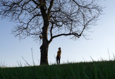 Ağacın altında duran bir kadının silueti.