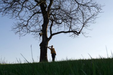Ağacın altında duran bir kadının silueti.