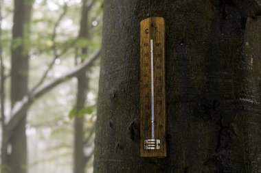 Ağaç gövdesindeki termometreyi kapat 