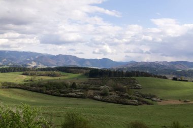 Çimenler çayırda. Gündüz çekimi