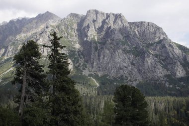 Doğa konsepti. Dağların gündüz çekimleri
