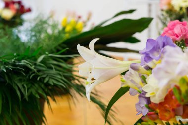 Beautiful bouquet of flowers close up shot