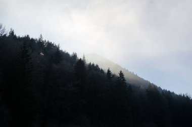 Kış boyunca ağaçlarla birlikte çayırda gün batımı. Slovakya