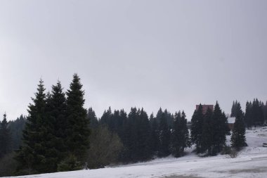 Slovakya 'nın gündüz çekim yeri