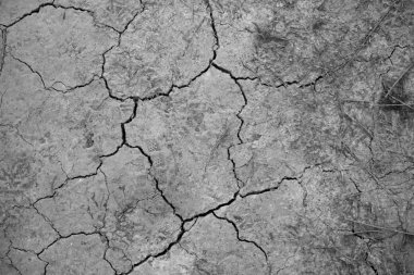 Çatlak toprak dokusu arka planı