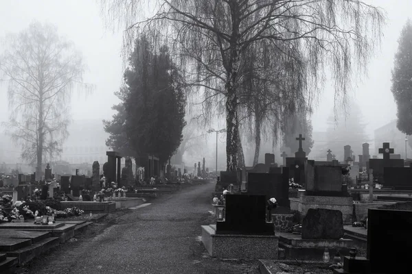 Nebel Über Dem Friedhof Tagesschuss — Stockfoto