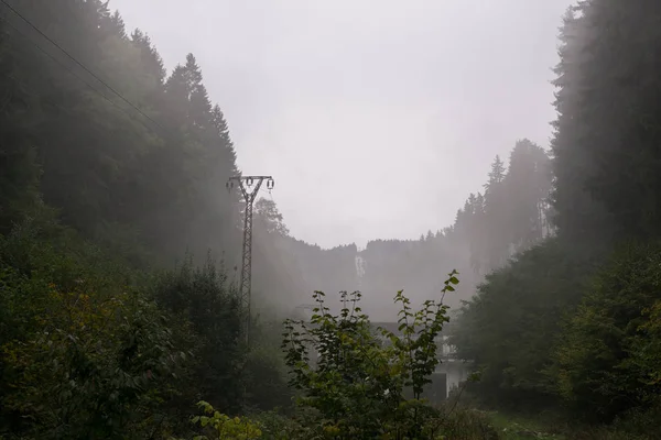 Höst Träd Skog Slovakien — Stockfoto