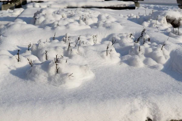 Fundo Neve Fresca Tempo Neve — Fotografia de Stock