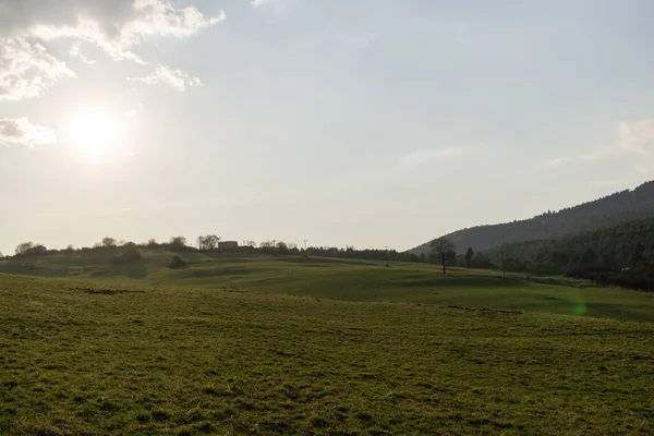 Grüne Bergwiesenlandschaft — Stockfoto