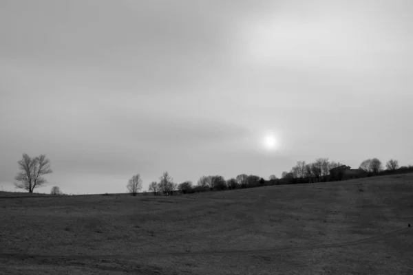 Matin Brumeux Sur Prairie Avec Arbres Vue Slovaquie — Photo