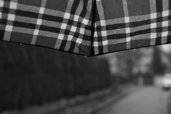 blurred of umbrella and rain in the city