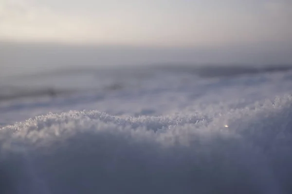 Natureza Sob Neve Durante Inverno Eslováquia — Fotografia de Stock