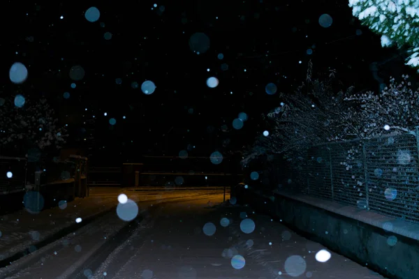 Close Shot Falling Snow — Stock Photo, Image