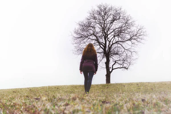 Silhouet Van Vrouw Die Alleen Bij Boom Staat — Stockfoto