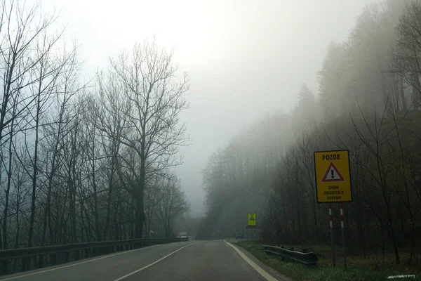 Tiro Floresta Durante Dia Eslováquia — Fotografia de Stock