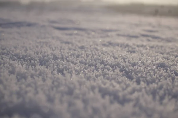 Nature Sous Neige Pendant Hiver Slovaquie — Photo