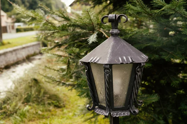 lantern in the park  on nature background