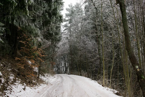 Naturaleza Cubierta Nieve Durante Invierno Profundo Países Bajos —  Fotos de Stock