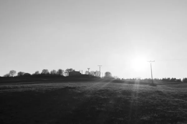 Prairie Verte Paysage Slovaquie — Photo