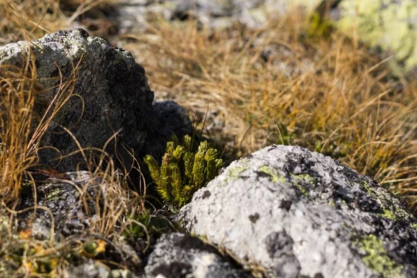 Caminho Através Montanhas Incríveis — Fotografia de Stock