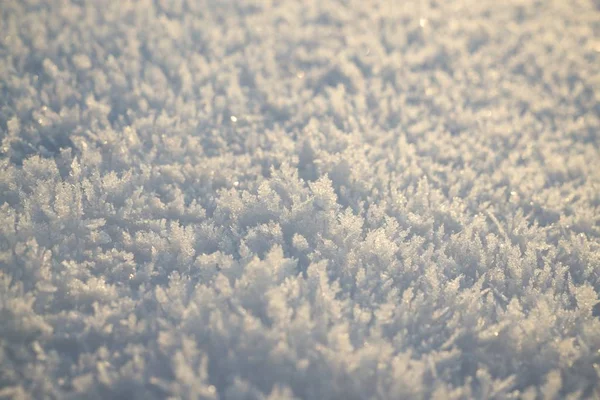 大自然在雪地下 斯洛伐克 — 图库照片