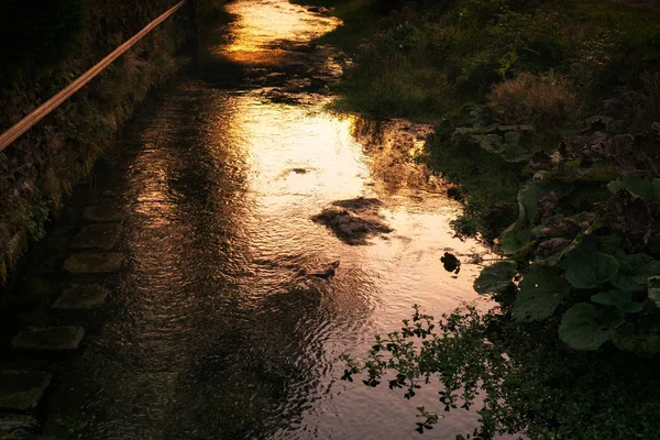 春天里的河流 斯洛伐克 — 图库照片
