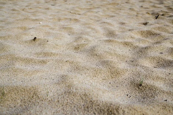 Beautiful Sand Beach Background Close — Stock Photo, Image
