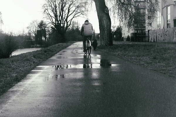 Puddle on road during rain. Slovakia