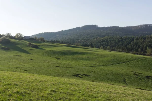 Grönt Ängslandskap Slovakien — Stockfoto