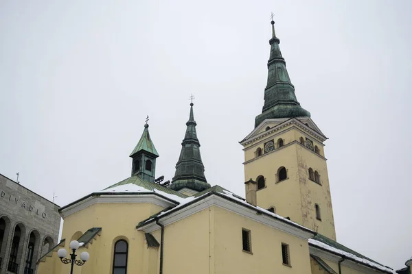 Sneeuw Stad Zilina Slowakije — Stockfoto