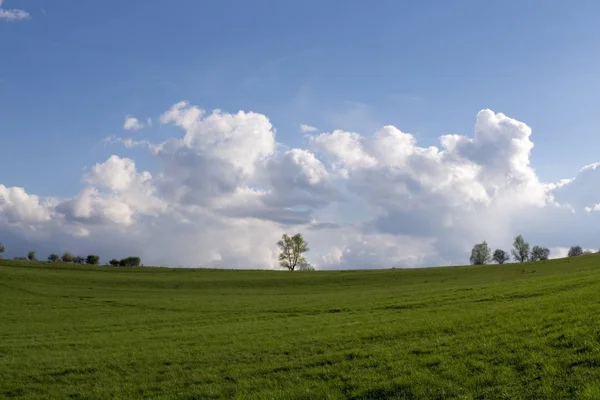 Erba Sul Prato Giorno Colpo Tempo — Foto Stock