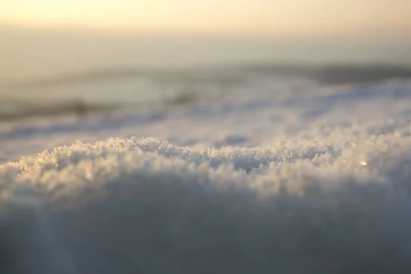 Fundo Inverno Com Geada Inverno — Fotografia de Stock