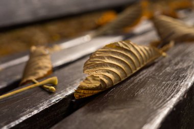 Kuru sonbahar yaprakları bank yüzeyinde