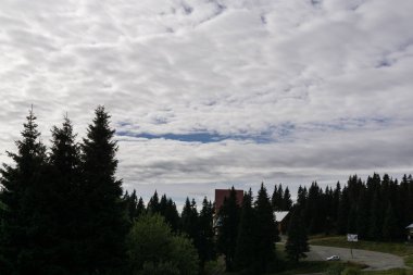 Ormanda sonbahar ağaçları, Slovakya