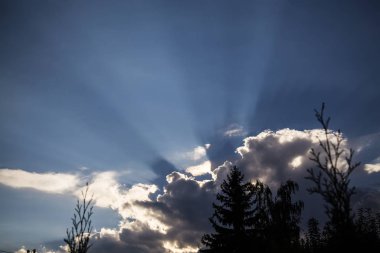 Bulutlu mavi gökyüzü ve günbatımında ağaçlar