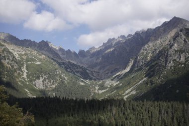 Dağlar. Rocky Tepesi. Yüksek Tatras, Slovakya 'da Sivy Zirvesi