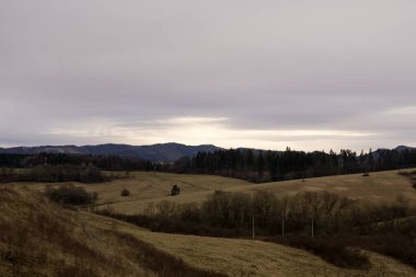 Ağaçlar ve manzaralı çayırda puslu bir sabah. Slovakya 