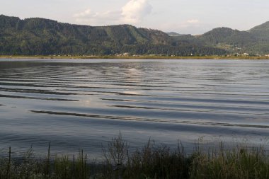 Doğanın arka planında güzel bir göl