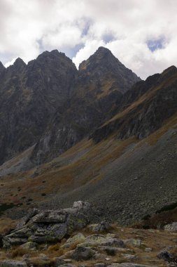 Dağlar. Rocky Tepesi. Yüksek Tatras, Slovakya 'da Sivy Zirvesi
