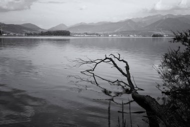 Doğanın arka planında güzel bir göl