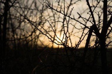 Renkli bulutlarla gün batımı ve gün doğumu. Slovakya