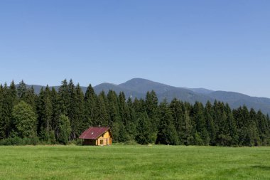 Yeşil dağ çayırı manzara ve ev