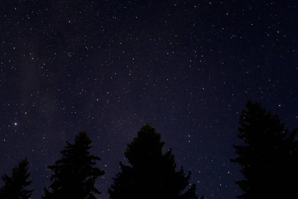 Estrellas Cielo Nocturno República Checa — Foto de Stock