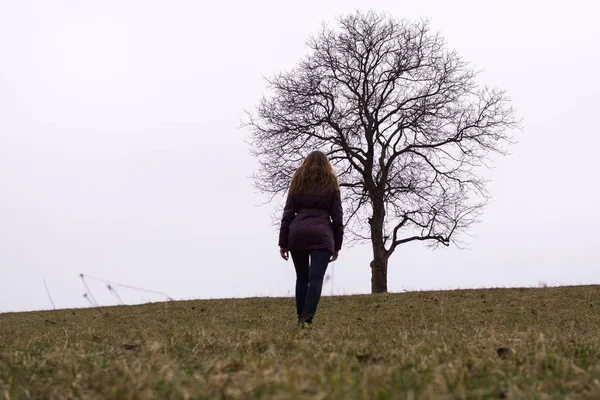 Silueta Mujer Pie Solo Cerca Del Árbol —  Fotos de Stock