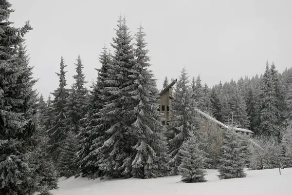 Solnedgång Äng Med Snö Vintern Slovakien — Stockfoto