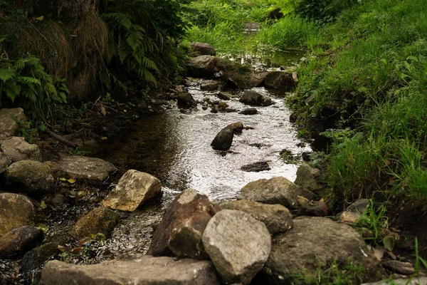 Bellissimo Corso Acqua Slovacchia — Foto Stock