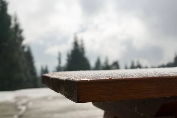 Fenyőfák Erdőben Télen Szlovákia — Stock Fotó