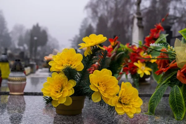 Färg Blommor Nära Upp Skott — Stockfoto